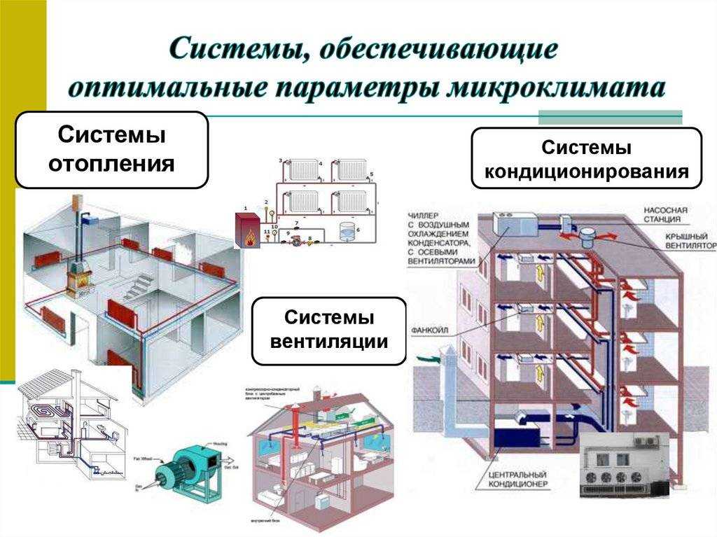 Полгода в одной комнате с марусей. опыт использования капсулы от mail.ru - androidinsider.ru