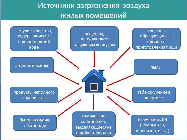 Составить схему источники загрязнения среды в жилище