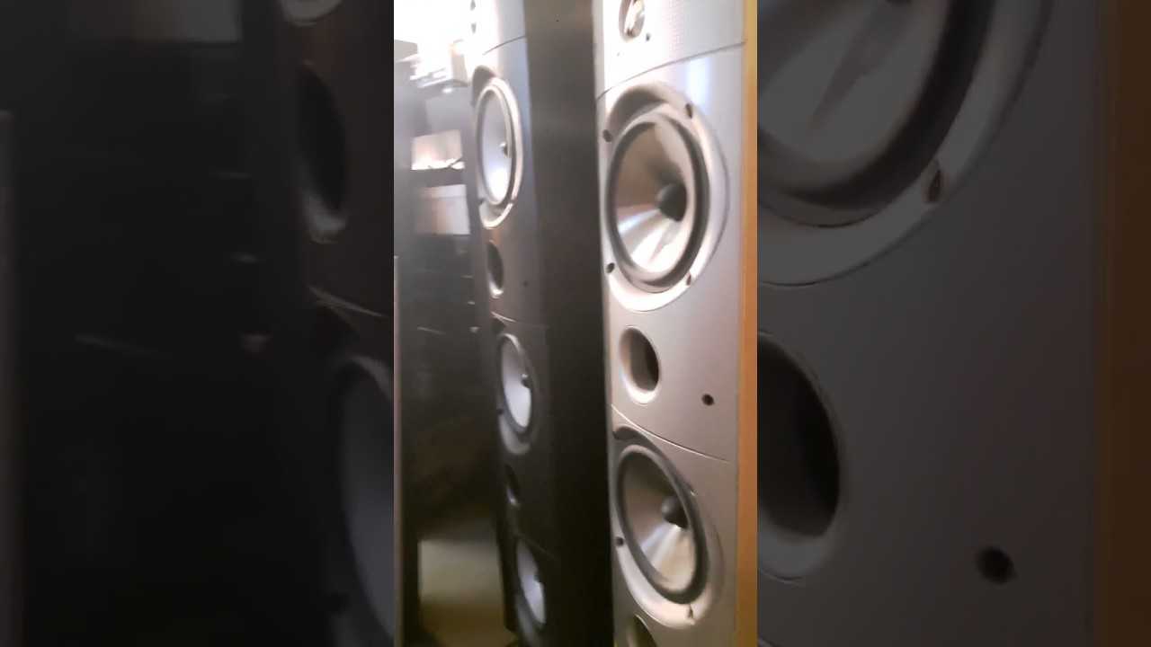 Тест акустики neat momentum sx5i: чувство ритма • stereo.ru