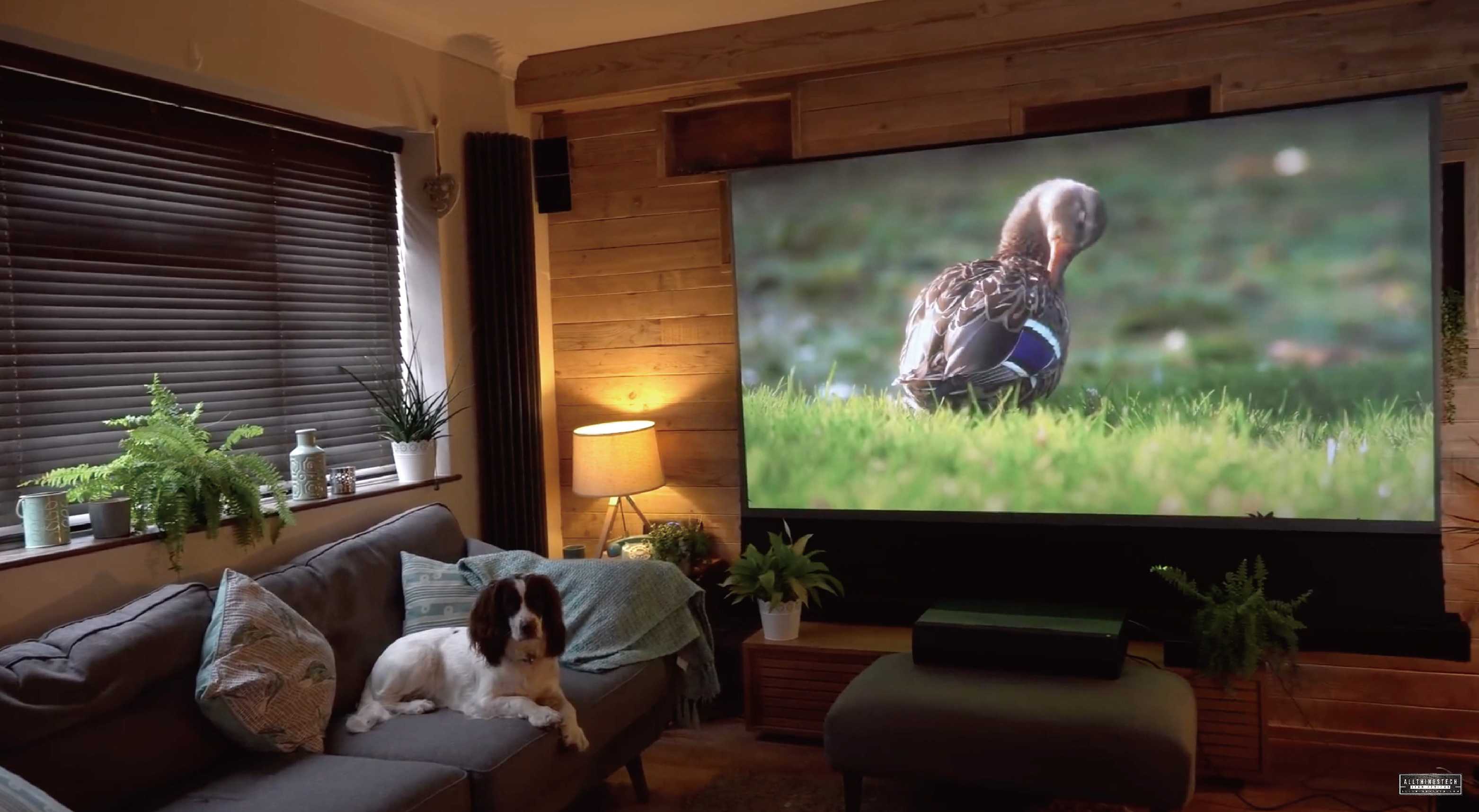 Какой проектор выбрать для дома вместо телевизора: топ–10 лучших, отзывы